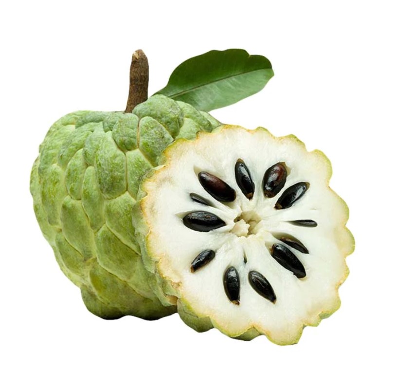 نهال شوگر اپل سبز